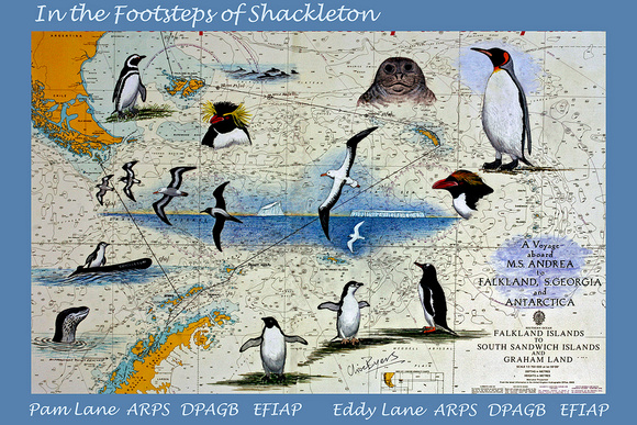 Talk - In the Footsteps of Shackleton - Title Page