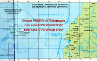 "Unique Wildlife of the Galapagos" Natural History images of the Unique Wildlife of these isolated Volcanic Islands